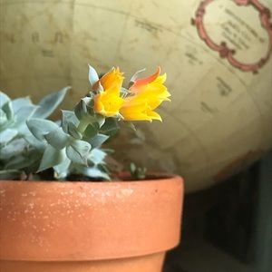 4 Reasons to Shop Poshmark